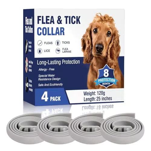 Collare Antiparassitario per Cani Regolabile e Impermeabile - Protezione Efficace per 8 Mesi