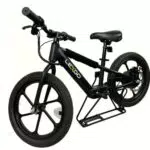 Lexgo Efun 20 Limited Edition Bici Elettrica per Bambini - Autonomia 20km - Velocità 15 km/h - Motore Brushless 180W - Freni a Disco - Ruote 16''