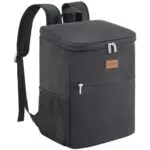Lifewit Zaino Termico Porta Pranzo Isoterma per Alimenti - Ideale per Pic-nic e Viaggi