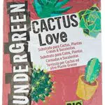 Undergreen Terriccio per Cactus e Piante Grasse, Biologico per Appartamento e Balcone