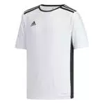 Adidas Ingresso Jersey