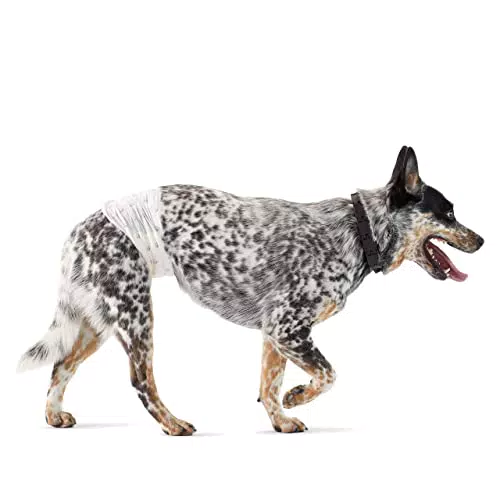 Amazon Basics Pannolini usa e getta per cani maschi - Confezione pratica