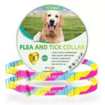Collare Antiparassitario Naturale per Cani - Trattamento Antipulci 8 Mesi