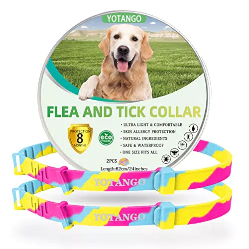 Collare Antiparassitario Naturale per Cani - Trattamento Antipulci 8 Mesi