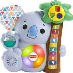 Fisher-Price Giocattolo GRG61 per lo Sviluppo e il Divertimento dei Bambini