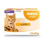 IAMS Delights Alimento Umido in Salsa per Gattini con Pollo