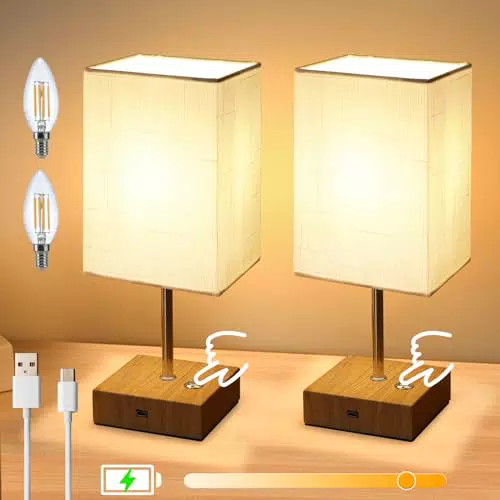 Lightess Lampada da Comodino Touch Dimmerabile Ricaricabile Senza Fili