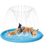 Pecute Tappetino Spruzzi per Cane e Bambini, Gioco d'Acqua Antiscivolo