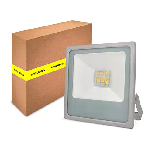 Superia Milano Faro LED da Esterno 35W, Proiettore Impermeabile IP65, 2690 Lumen