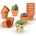 Ulikey Vasi in Terracotta per Piante Grasse, Cactus e Bonsai