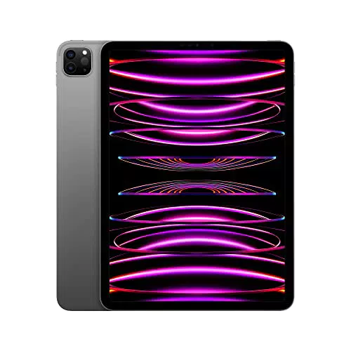 Apple 2022 iPad Pro 11" - Grigio siderale, 4ª generazione