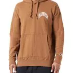 Champion Rochester City Explorer Felpa con Cappuccio