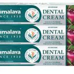 Himalaya Herbals Dental Cream - Dentifricio Antinfiammatorio per Gengive