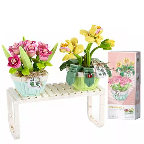LOTOLO Mini Pianta Bonsai Set - Gioco di Costruzione Botanica Decorativa