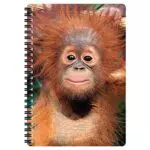 Deluxebase Quaderno 3D LiveLife A5 Cucciolo di Orangotango - 80 Pagine Lenticolari