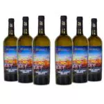Brumale Vino Bianco Trebbiano Chardonnay Rubicone IGT - Gusto Pieno e Profumo Intenso