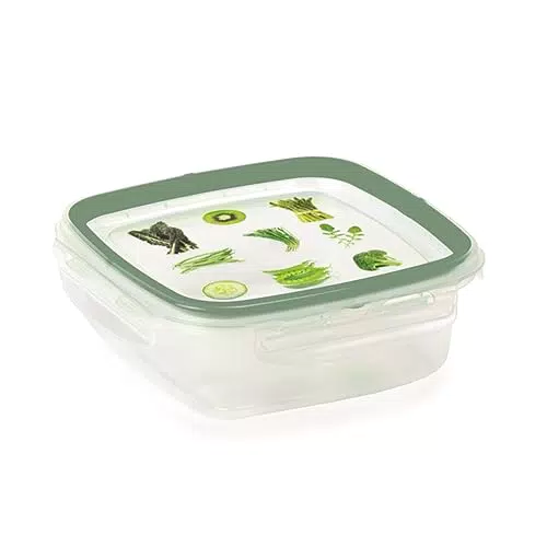 Snips Contenitori per Alimenti Quadrati 0,50 LT - Made in Italy, BPA Free