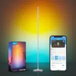 Govee Lampada da Terra LED RGBIC Smart con Alexa e Sincronizzazione Musicale