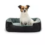 Lionto Letto per Cani Cuscino Divano per Cani - Comfort e Stile per il Tuo Amico Fedele