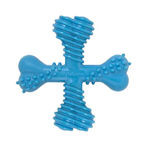Nylabone Osso da Masticare per Cani al Sapore di Manzo