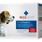 Recoactiv Tonico Articolazioni per Cani - Integratore con Glucosamina e Cozza Verde