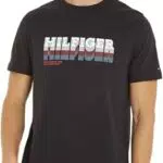 Tommy Hilfiger Fade Tee MW0MW34377 - Maglietta a Maniche Corte Uomo