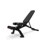 Bowflex 3.1S - Panca Pesi Regolabile Unisex per Allenamento Domestico