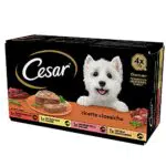 Cesar Ricette Classiche Cibo per Cane Selezione Assortita in Vaschette