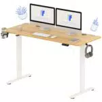 FLEXISPOT Scrivania Elettrica Regolabile in Altezza per Ufficio e Casa
