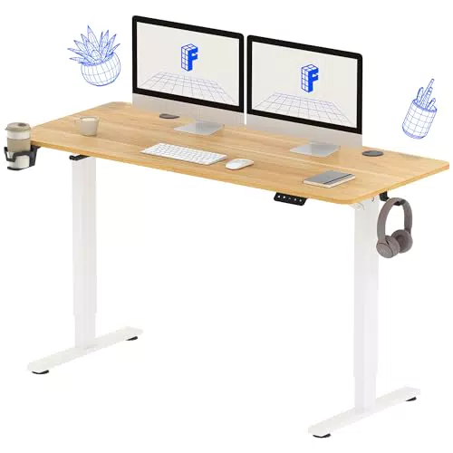 FLEXISPOT Scrivania Elettrica Regolabile in Altezza per Ufficio e Casa