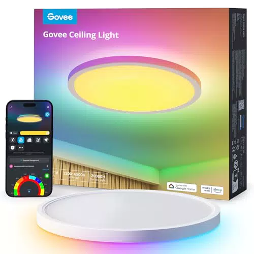 Govee Plafoniera Intelligente RGBIC 2400LM per Camera da Letto e Soggiorno