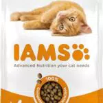 IAMS Cibo Secco per Gattini con Pollo Fresco - Nutrizione Completa per Cuccioli