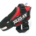 Julius-K9 Pettorina IDC Power per Cani - Comfort e Sicurezza in Movimento