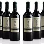 Lo Zoccolaio Barbera d'Alba DOC Superiore - Vino Rosso di Qualità