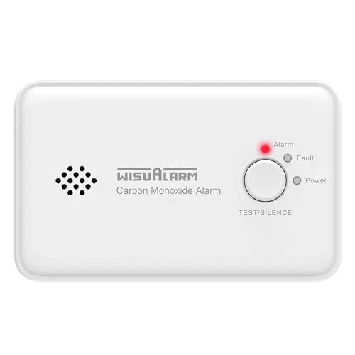Rilevatore di Monossido di Carbonio con Batteria Inclusa e Certificazione EN50291