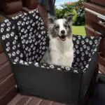 Wimypet Rialzo per Seggiolino Auto per Cani e Gatti, Pieghevole e Impermeabile