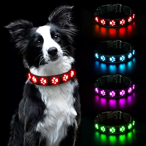 AUAUY Collare Luminoso per Cani LED Ricaricabile Impermeabile Regolabile