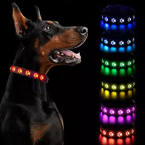 BLUESEABUY Collare Luminoso per Cani Ricaricabile con Luce LED Regolabile