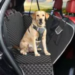 KYG Coprisedile Auto Impermeabile Antiscivolo per Cani SUV 135x140 cm