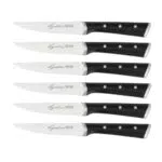 Lagostina Iceforce Set di Coltelli da Bistecca in Acciaio Inossidabile