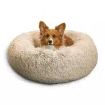 Best Friends by Sheri Letto a Ciambella Calming Donut per Cani e Gatti