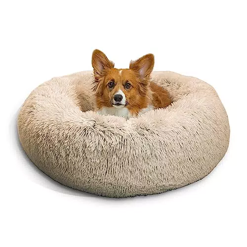 Best Friends by Sheri Letto a Ciambella Calming Donut per Cani e Gatti