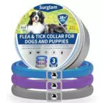 Collare Antipulci e Antiparassitario per Cani - Protezione Naturale 24 Mesi