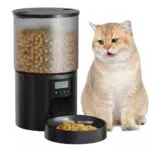 PetSafe Distributore Automatico Cibo per Gatti e Cani con Timer Programmabile