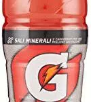 Gatorade confezione da 50 cl - Bevanda energetica rinfrescante