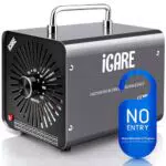 ICARE Generatore di Ozono Professionale 30000mg/h per Purificazione Aria