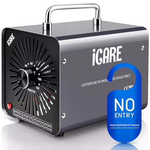 ICARE Generatore di Ozono Professionale 30000mg/h per Purificazione Aria