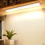 Lepotec Luce Armadio LED Ricaricabile con Sensore di Movimento per Interni