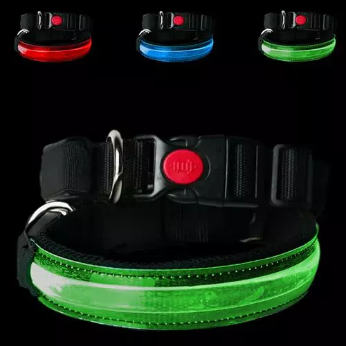 PETTY Collare Luminoso per Cani Regolabile LED Ricaricabile con Chiusura Sicura