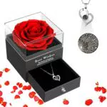 SANOTO Rosa Stabilizzata con Collana - Idee Regalo per Donna e Occasioni Speciali